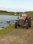 Vintage tractors